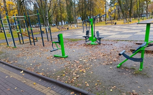 В брянском парке культуры и отдыха железнодорожников благоустроят спортплощадку