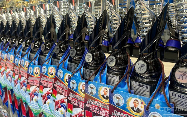 В Брянске проходит открытие соревнований «Памяти Героя России Олега Ермакова»