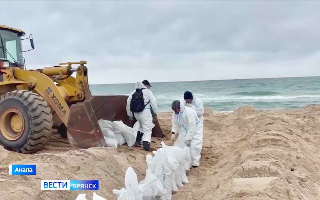 Брянские волонтёры помогают устранять последствия разлива нефти в Анапе