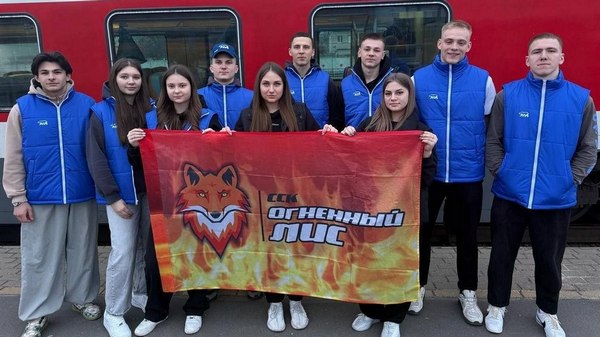 Брянские студенты отправились добровольцами в Анапу для ликвидации последствий разлива нефтепродуктов