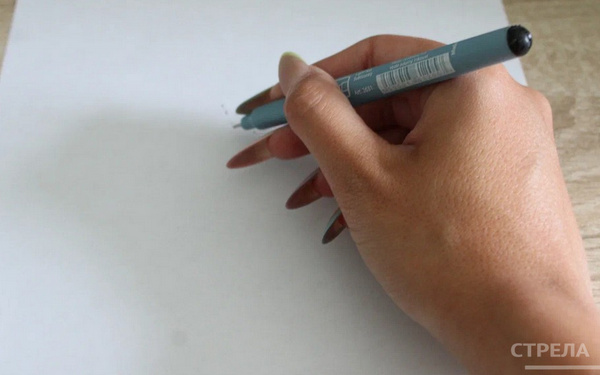 Выпускники школ сегодня сдают ЕГЭ по истории, химии и литературе