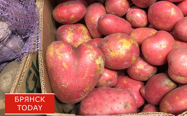 В Брянске продолжают работать ярмарки выходного дня