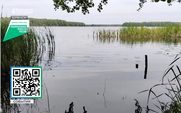 В Брянске в голосовании для благоустройства в 2026 году лидирует парк «Олимпийский»