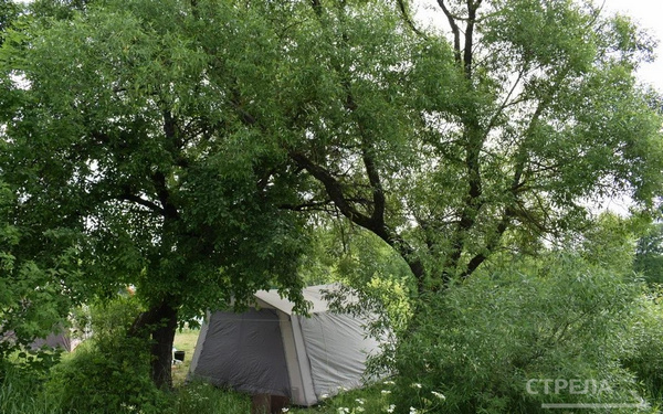 На Брянщине в 2025 году реализуют проект «Кемпинг Панорама»