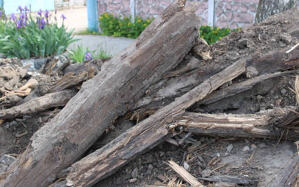 При проведении строительных работ в Стародубе обнаружили старинные предметы