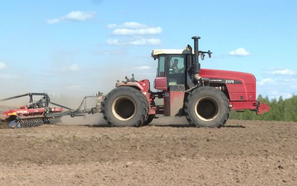 На Брянщине аграрии завершили посевные работы