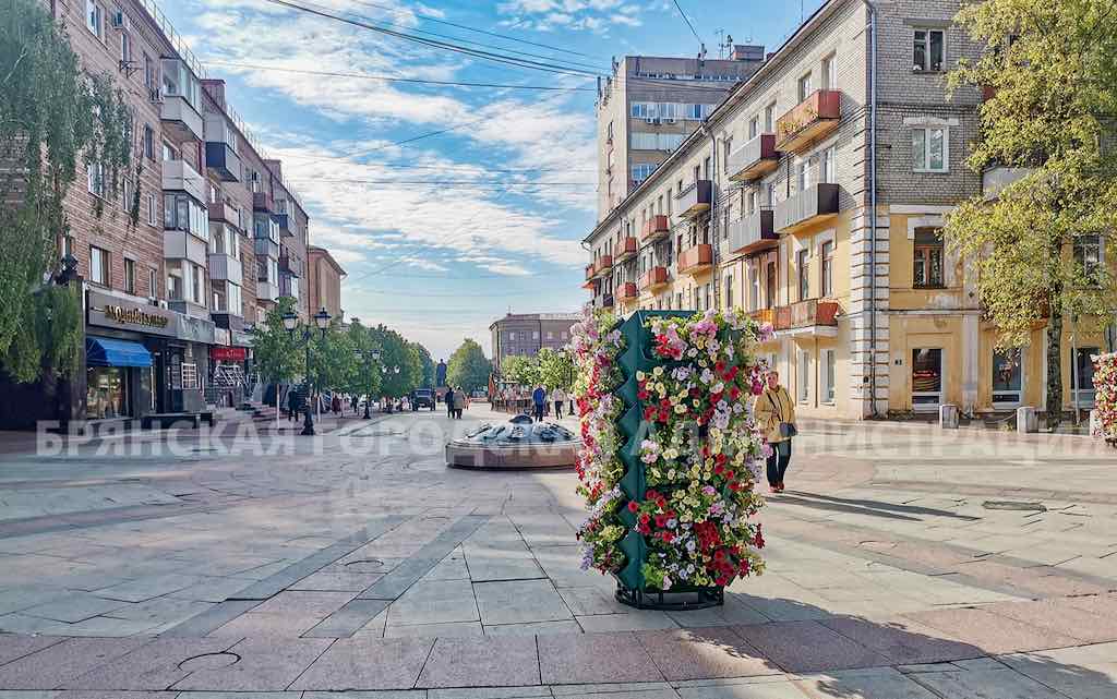 Брянск украсили вертикальными цветниками