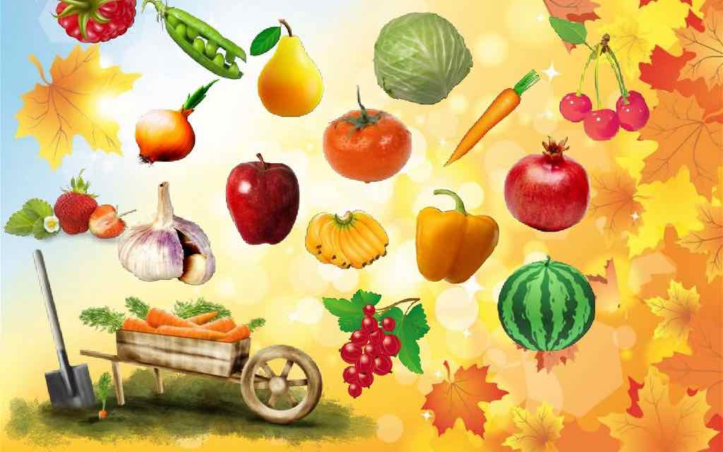 Осень. Овощи и фрукты