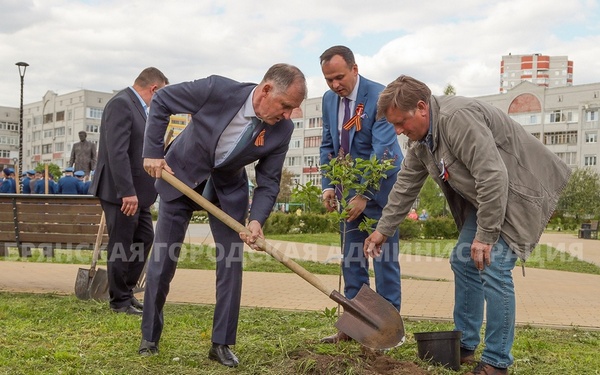 Благодаря акции «Сирень Победы» Брянск украсили 33 куста