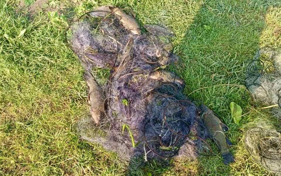 В Брянской области в ходе операция «Браконьер» полицейскими зарегистрировано 18 уголовных деяний и выявлено 157 случаев административных нарушений