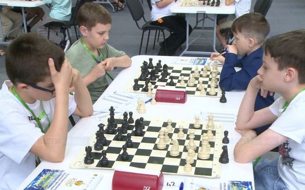 В Брянске завершились этапы Кубка России по шахматам