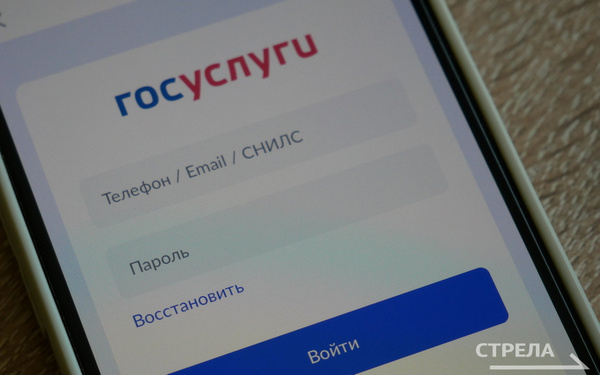 Жителям Брянщины доступен контроль ЖКХ через «Госуслуги.Дом»