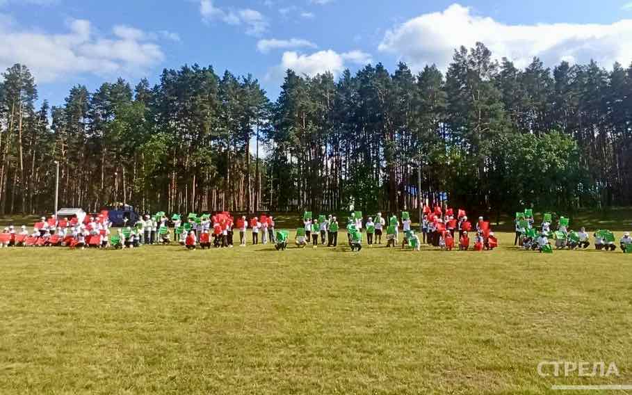 Брянцы и белорусы организовали флешмоб в молодёжном лагере «Дружба»