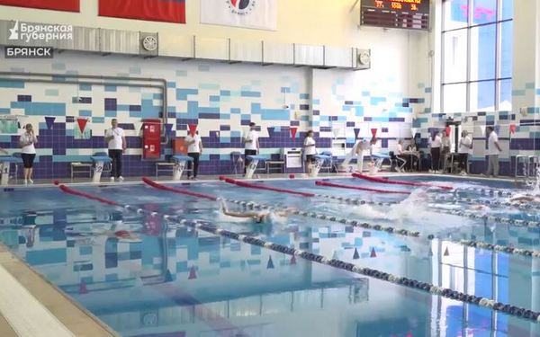 В Брянске впервые проходят соревнования по плаванию на Кубок губернатора