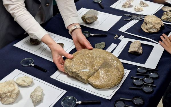 Брянцы получили шанс стать палеонтологами