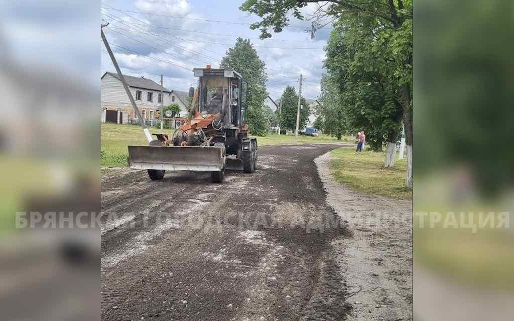  Глава Бежицкого района Брянска лично занялась решением проблем в Радице-Крыловке