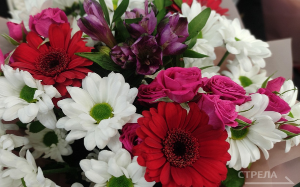 Брянская молодежь получает поздравления с Днем молодежи