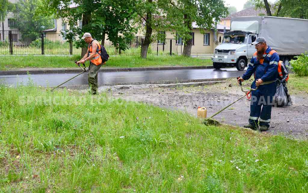 За выходные в Брянске скосили 132 тысячи квадратных метров травы