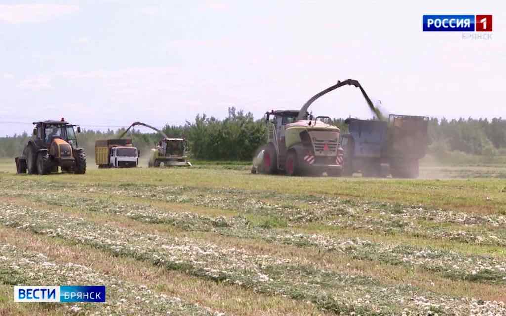 В Брянской области стартовала кампания по подготовке кормовой базы