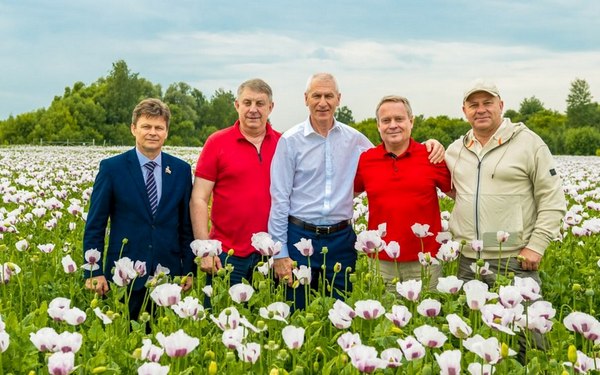 В Брянской области увеличили посевы опийного мака для фармпредприятия