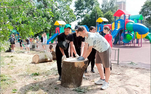 Участники «Движения Первых» помогают коммунальным службам в Климово