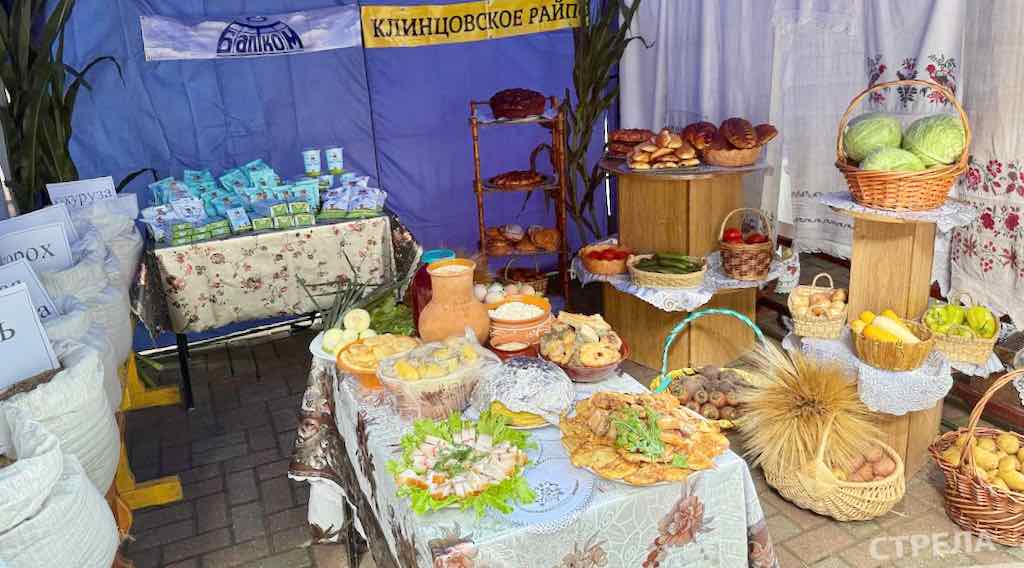 Мглинский и Клинцовский районы представили свои достижения в Брянске