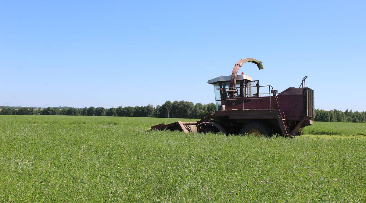 Аграрии Комаричского района ведут заготовку сенажа