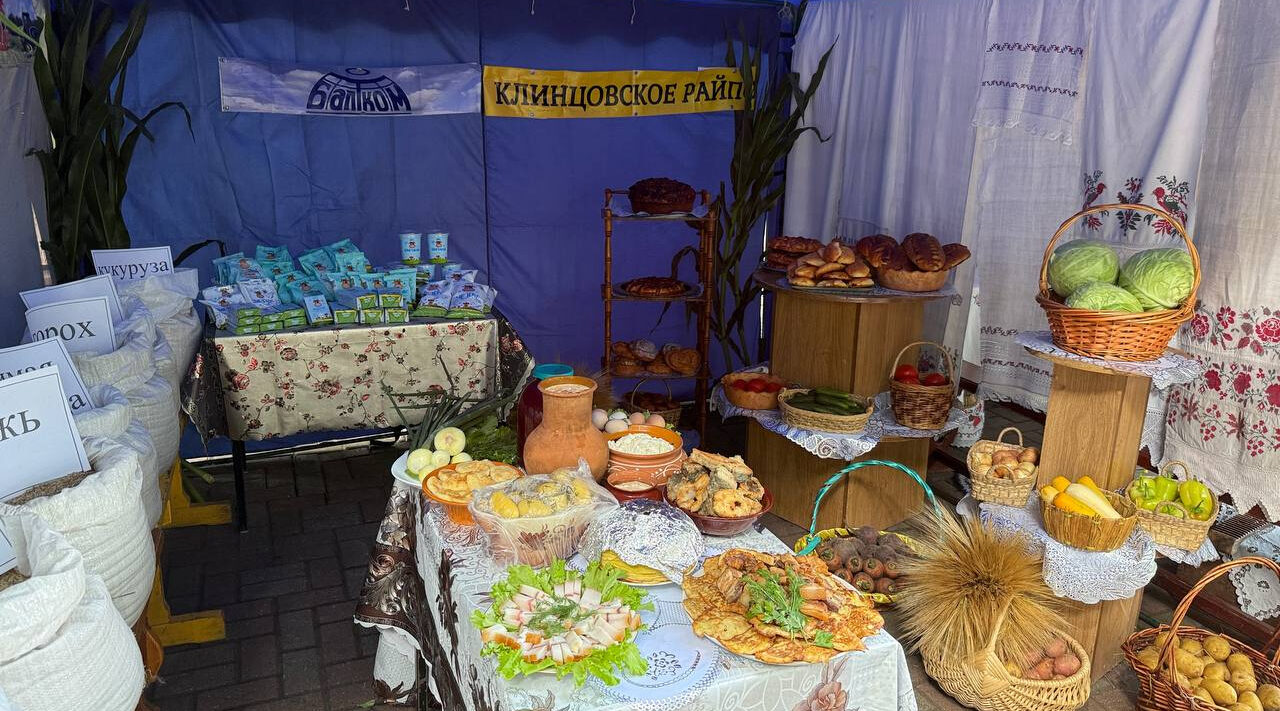 В Брянске Мглинский и Клинцовский районы продемонстрировали свои достижения