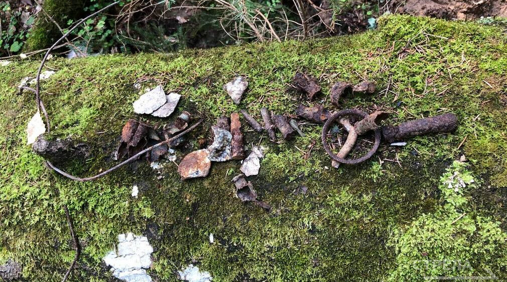 В брянских лесах поисковики обнаружили сбитый самолет