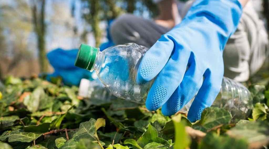 Брянцев приглашают принять участие в месяце благоустройства