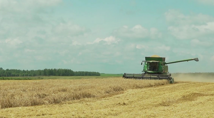 В Брянской области активно идёт уборка урожая