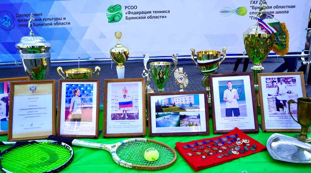 Брянские спортсмены завоевали более 1900 наград за год