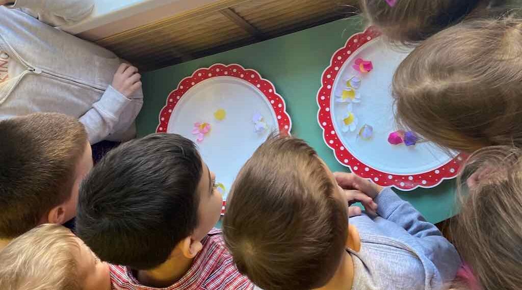 Волшебница вода 