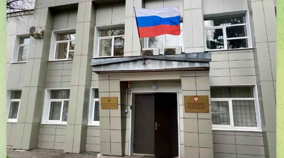 Жительница Стародуба осуждена за мошенничество с чернобыльскими выплатами