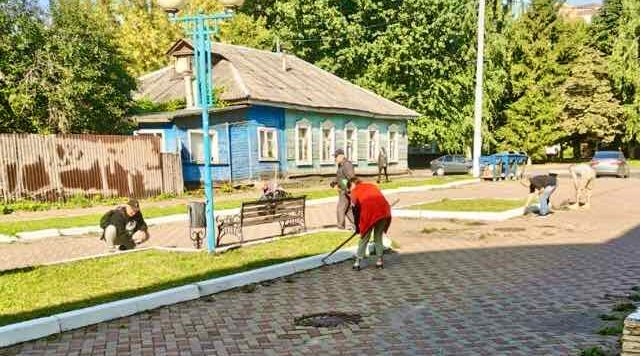 Брянские работники спортивной сферы провели санитарный день