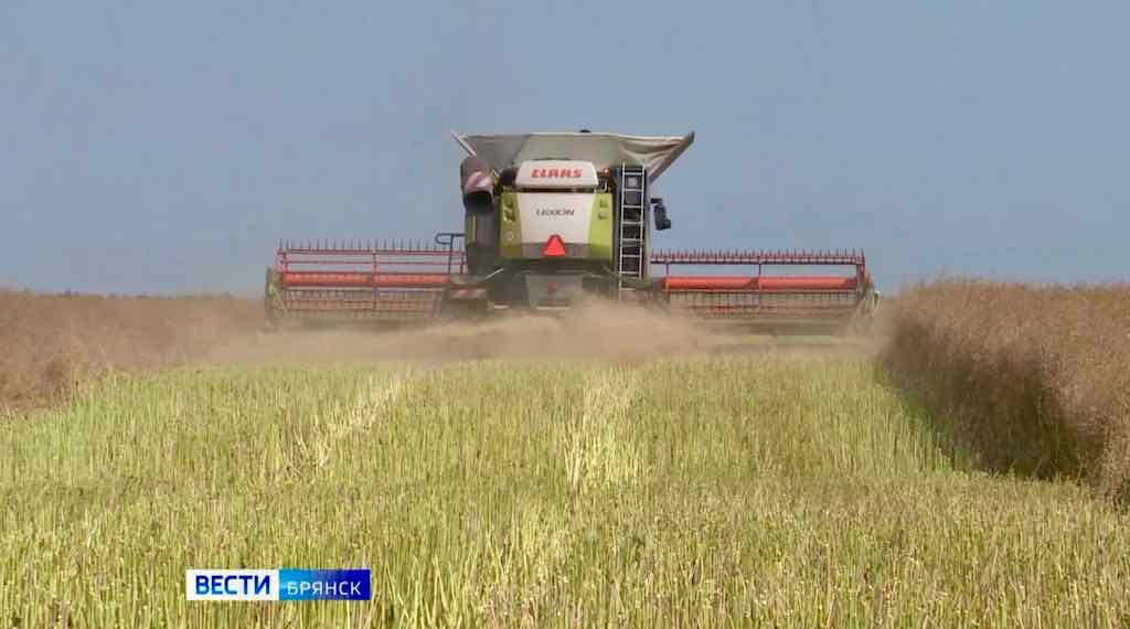 Брянские аграрии начали массовую уборку урожая