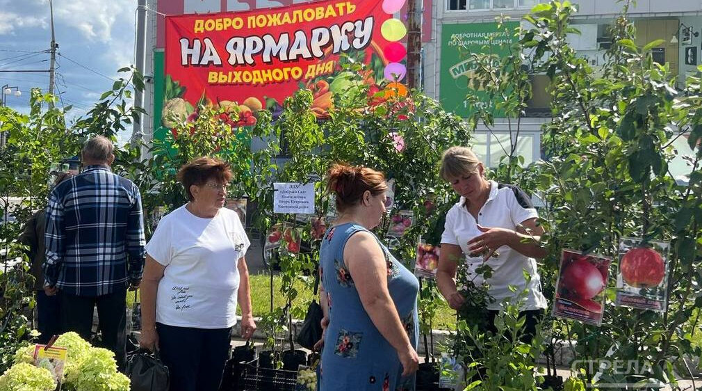 В Брянске во всех районах города работают сельхозярмарки выходного дня