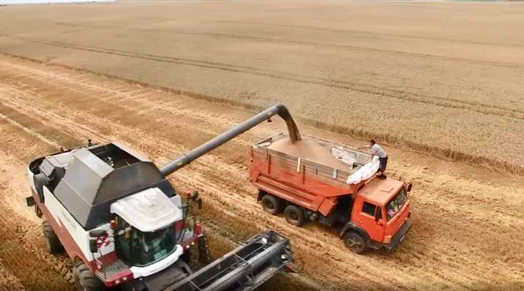 Брянские аграрии лидируют по урожайности зерновых