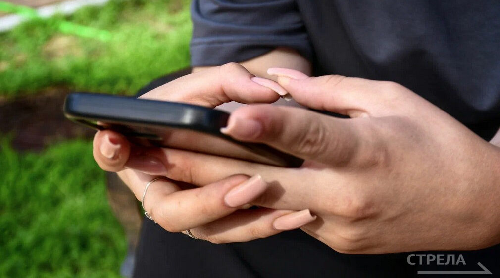 В Брянской области приложением «Радар.НФ» пользуются более 4611 человек