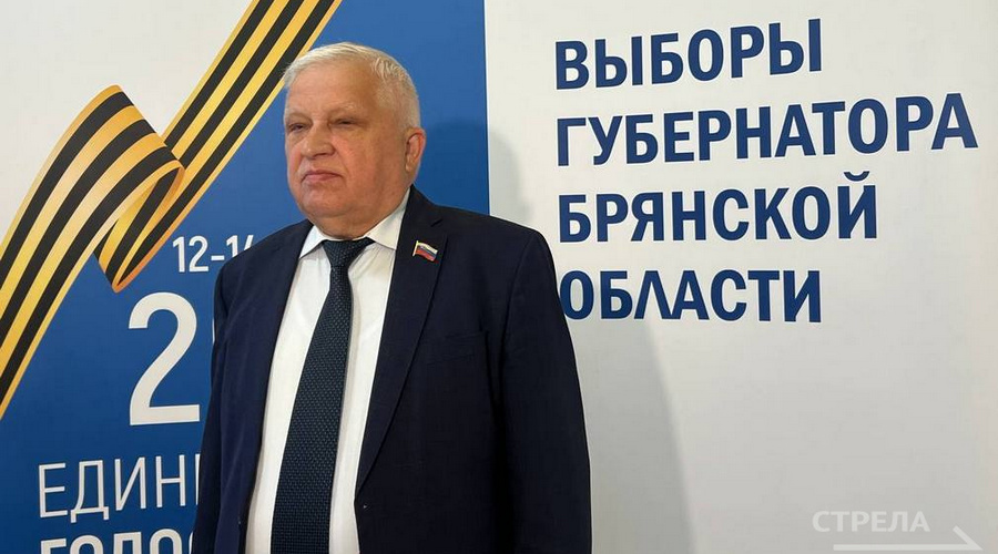 Наблюдатели отмечают положительный настрой жителей на выборах в Брянской области