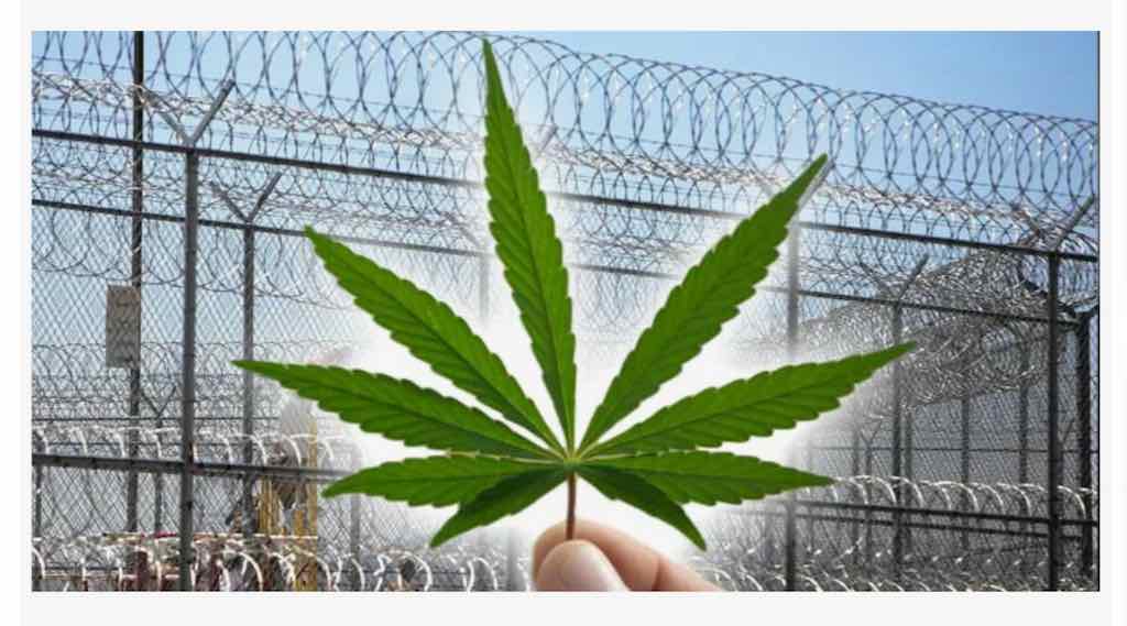 Житель Климовского района осужден за вовлечение сына в сбыт наркотиков