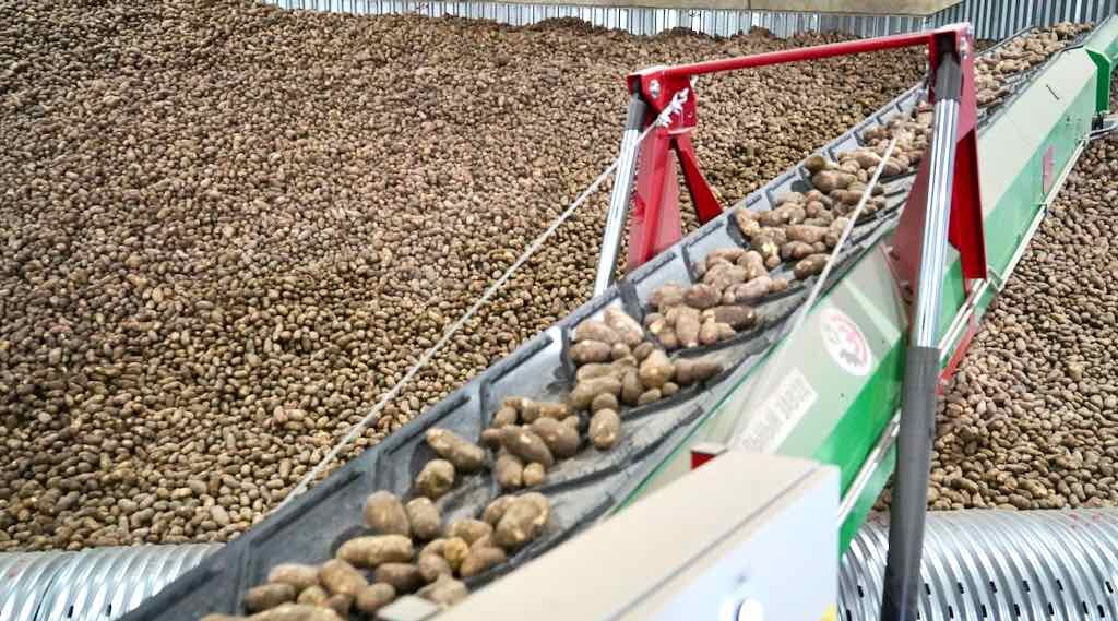 «Мираторг» инвестировал 1,5 млрд в картофельный комплекс на Брянщине