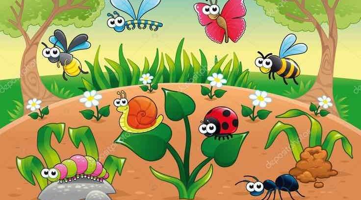 В мире насекомых