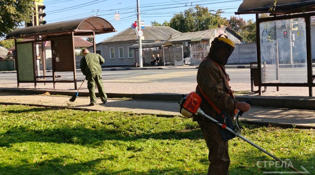 Трудовые коллективы вышли на субботники в Брянске