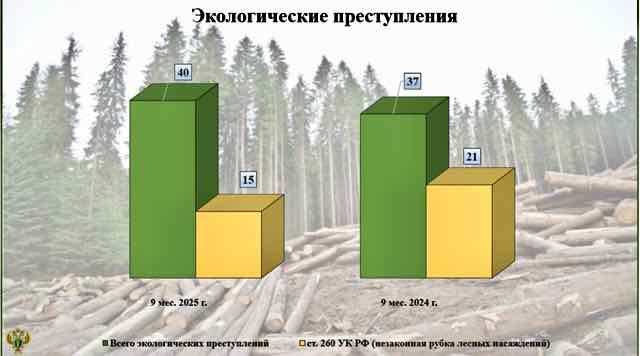В Брянской области выросло число экологических преступлений