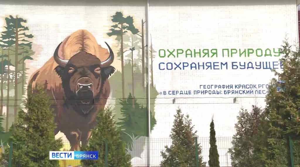 На школе в Брянске появился мурал с зубром из заповедника