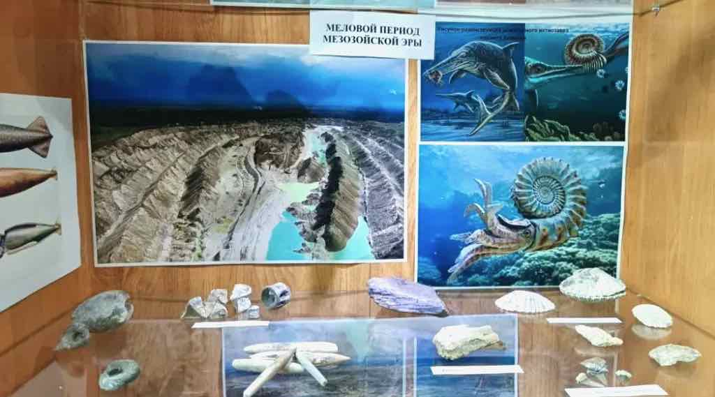 В Фокино открыли музей древних окаменелостей под открытым небом