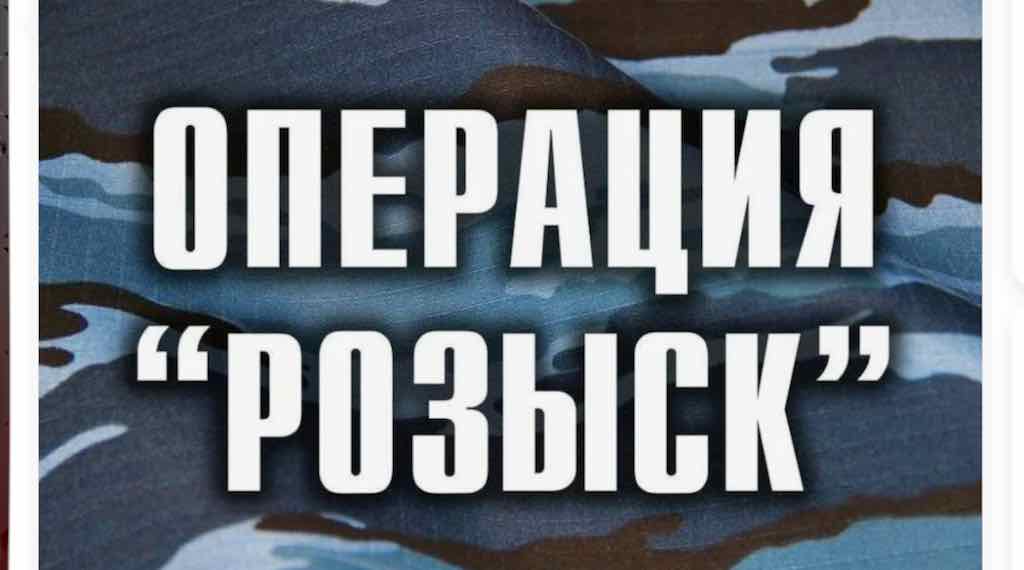 В Брянской области полицейские задержали 31 преступника в ходе операции «Розыск»