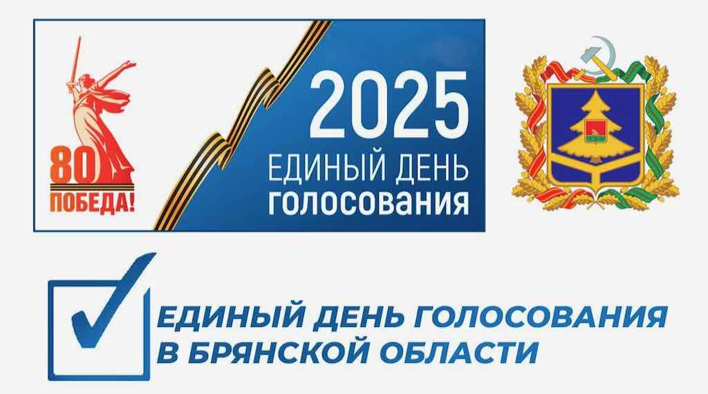 Итоговый финансовый отчёт кандидата на должность губернатора Брянской области Г.Г. Селебина