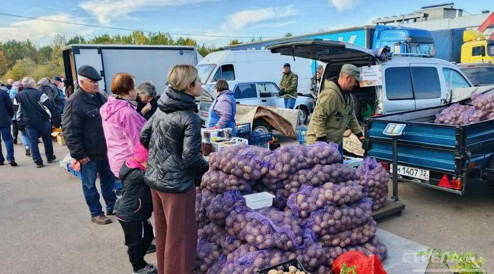 Брянцы запасаются овощами на ярмарках выходного дня
